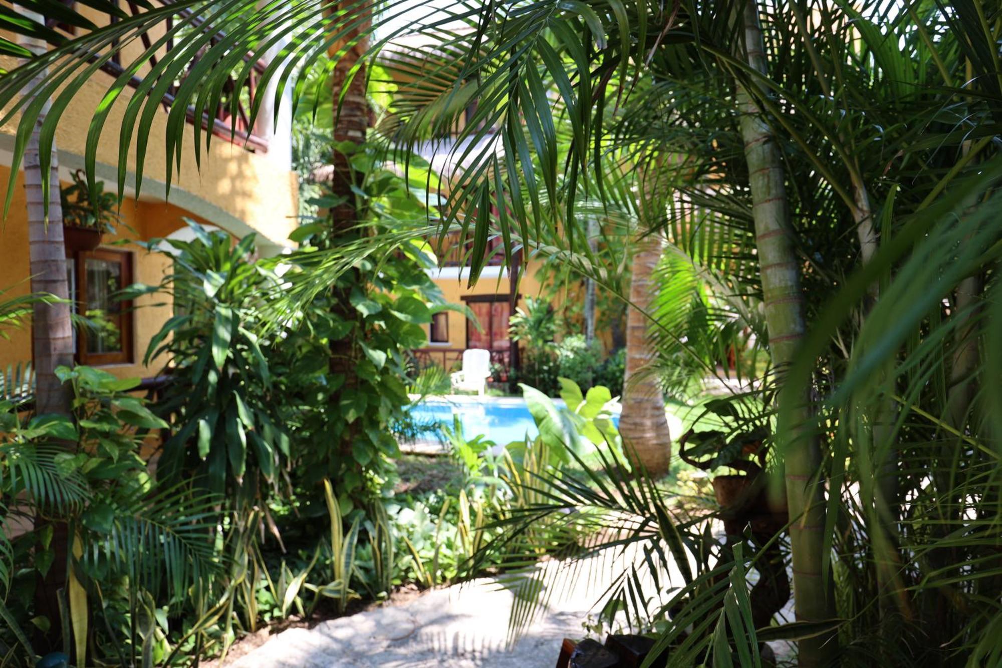 Hotel Bosque Caribe, 5Th Av. Zone Playa del Carmen Exterior photo